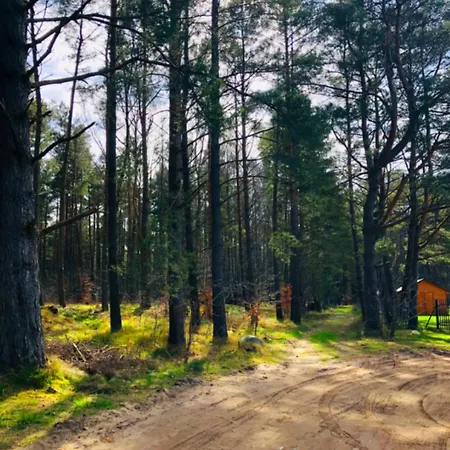 アパート Znowu Wrocisz Białogóra