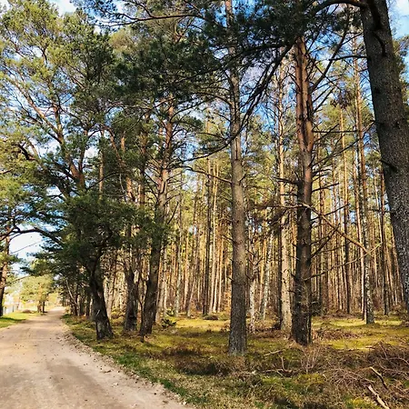 Znowu Wrocisz Daire *