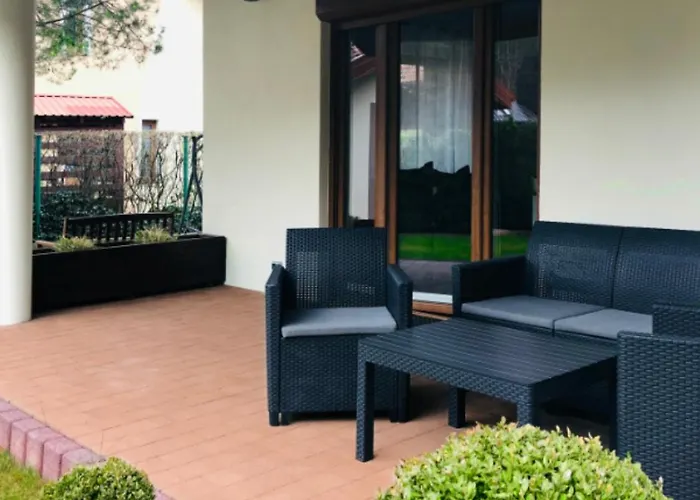 Daire Znowu Wrocisz *