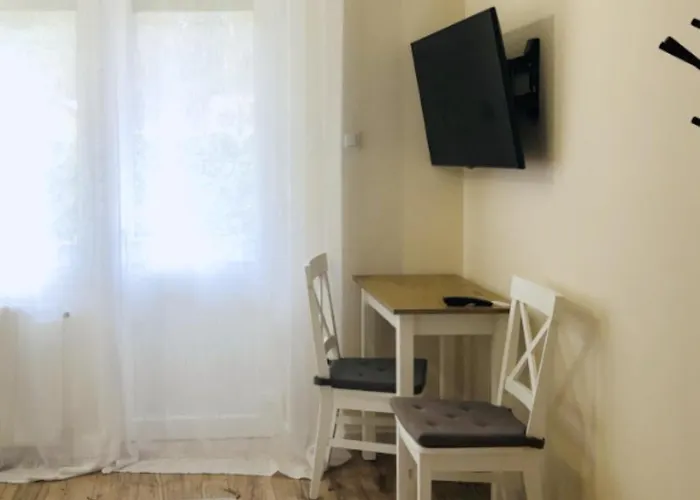 Daire Znowu Wrocisz Białogóra