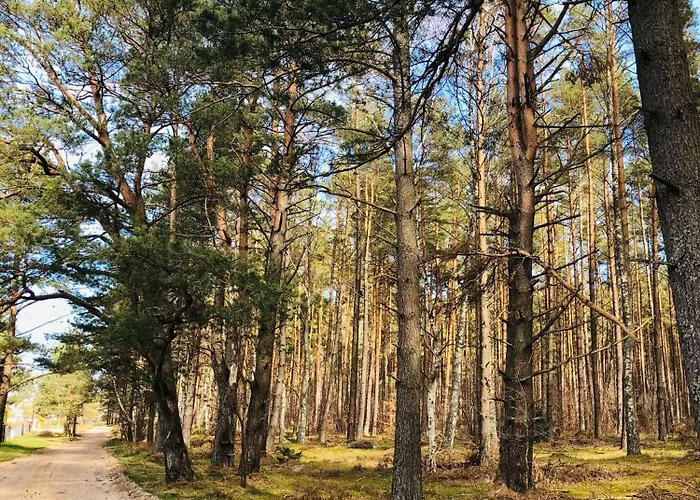 Znowu Wrocisz 公寓 *